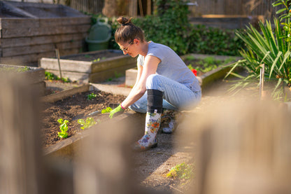 norocksocks STANDARD